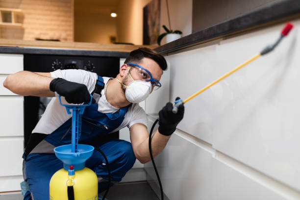 Best Wasp Removal Services  in Weldon, CA