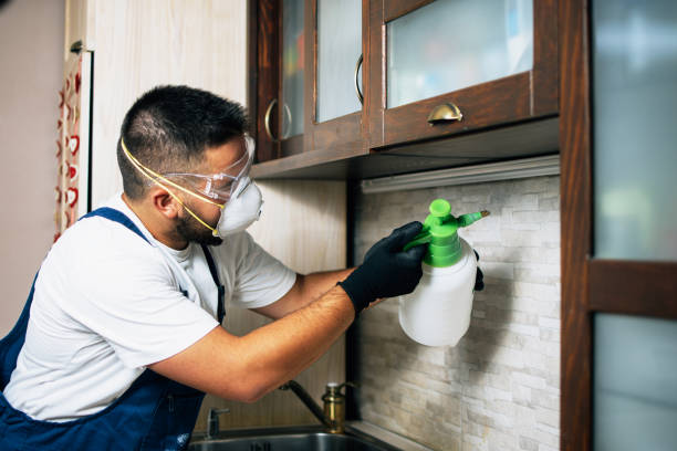 Best Cockroach Control Services  in Weldon, CA