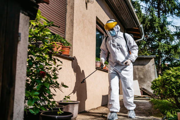 Best Bed Bug Extermination  in Weldon, CA