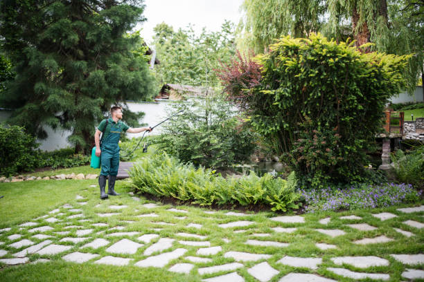 Best Pest Control Near Me  in Weldon, CA