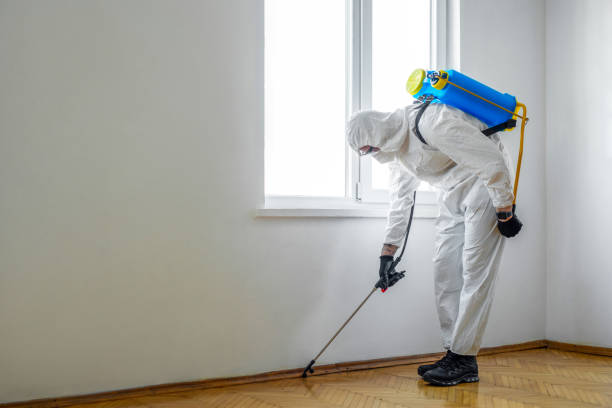 Best Pest Removal Services  in Weldon, CA