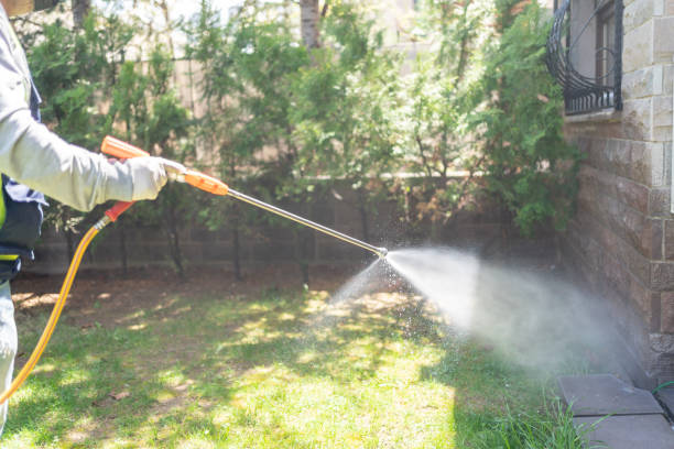 Pest Prevention Services in Weldon, CA