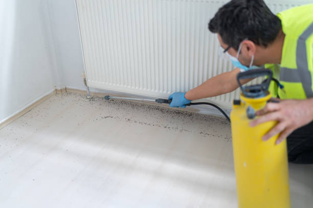 Best Ant Control Services  in Weldon, CA